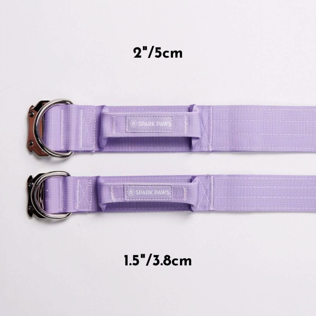 Comfort Control Dog Collars