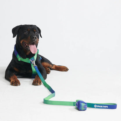 Comfort Control No-Pull Harness Sets
