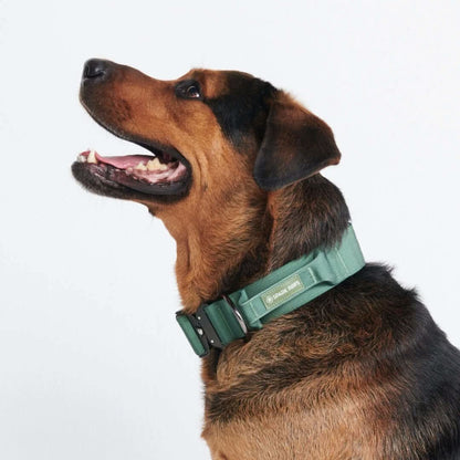 Comfort Control Dog Collars