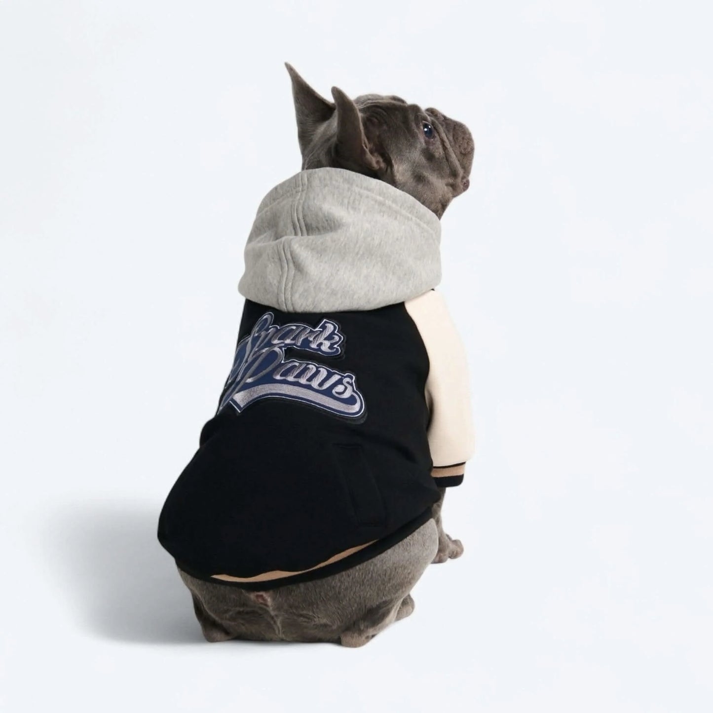 Dog Varsity Jackets