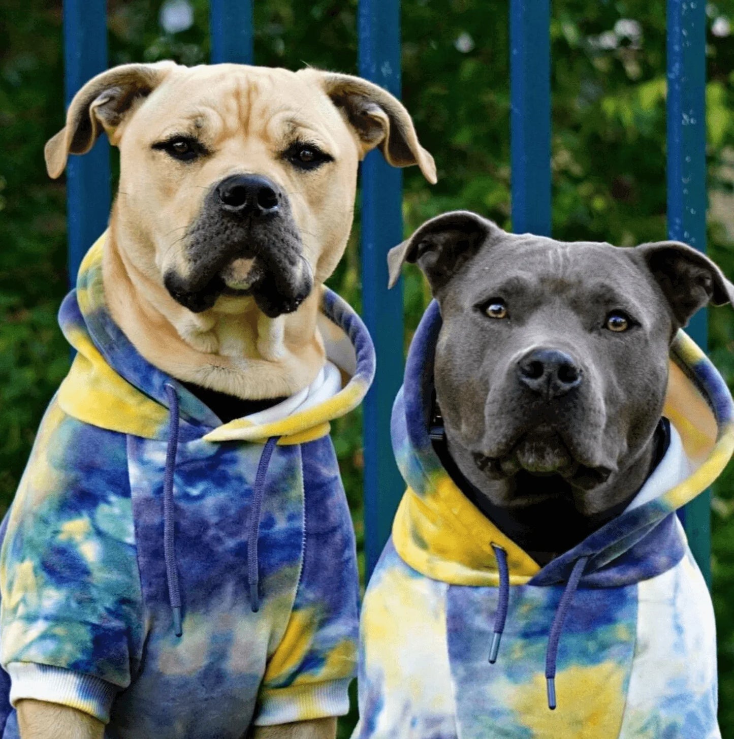 Velvet Dog Hoodies
