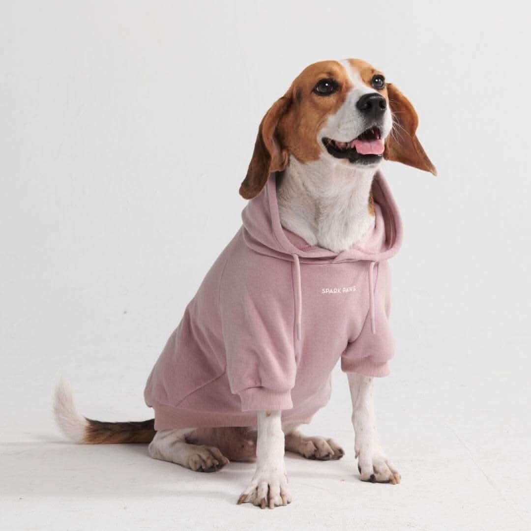 Essential Dog Hoodies