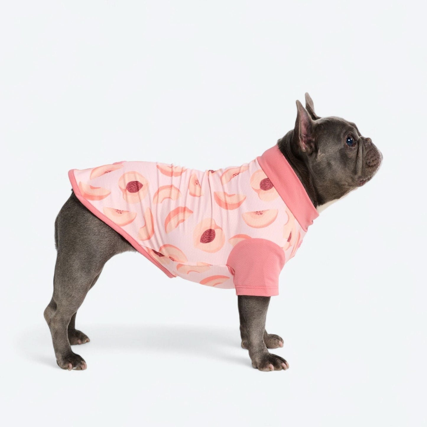 Sunblock Dog T-Shirt - Fruit Print