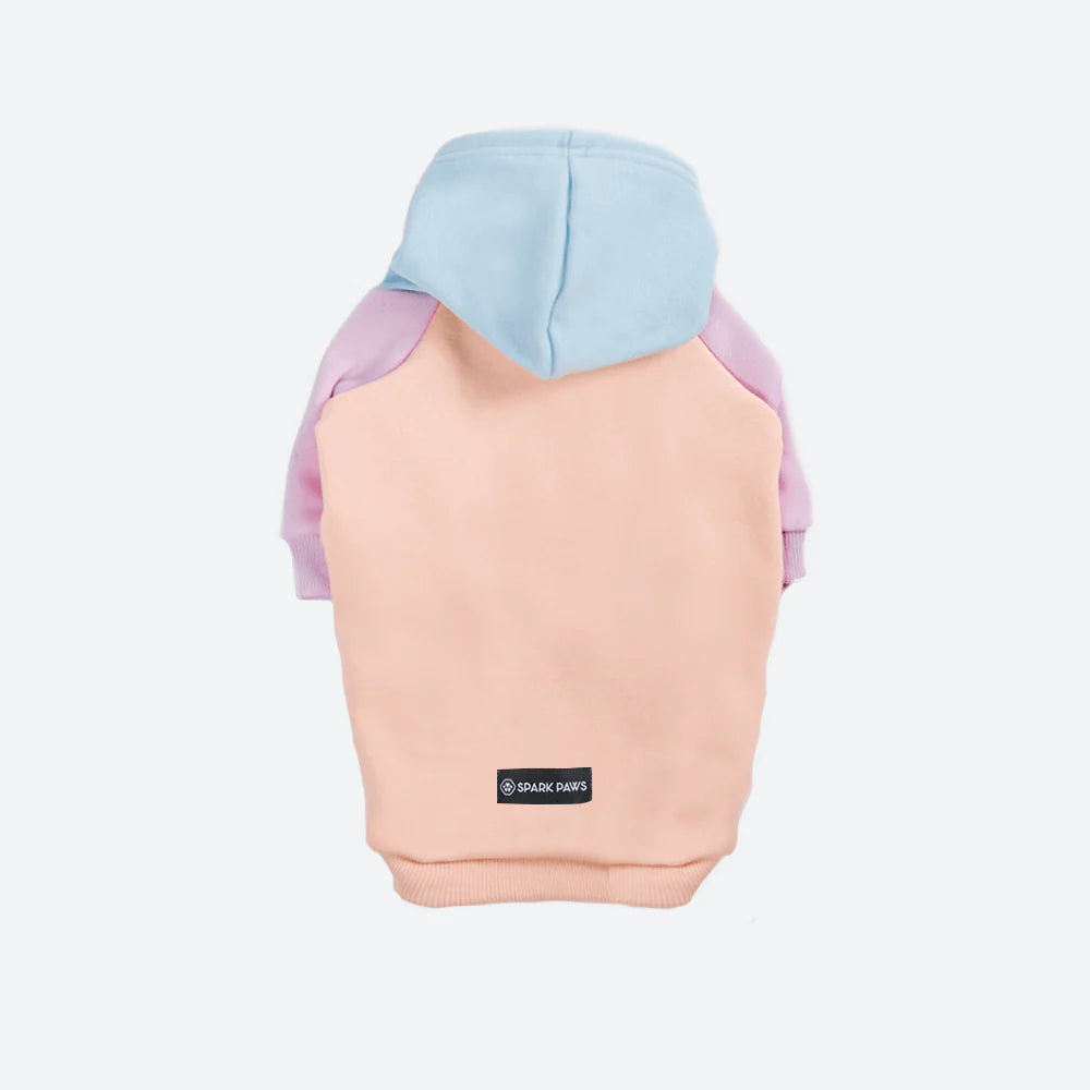 Color Block Dog Hoodies