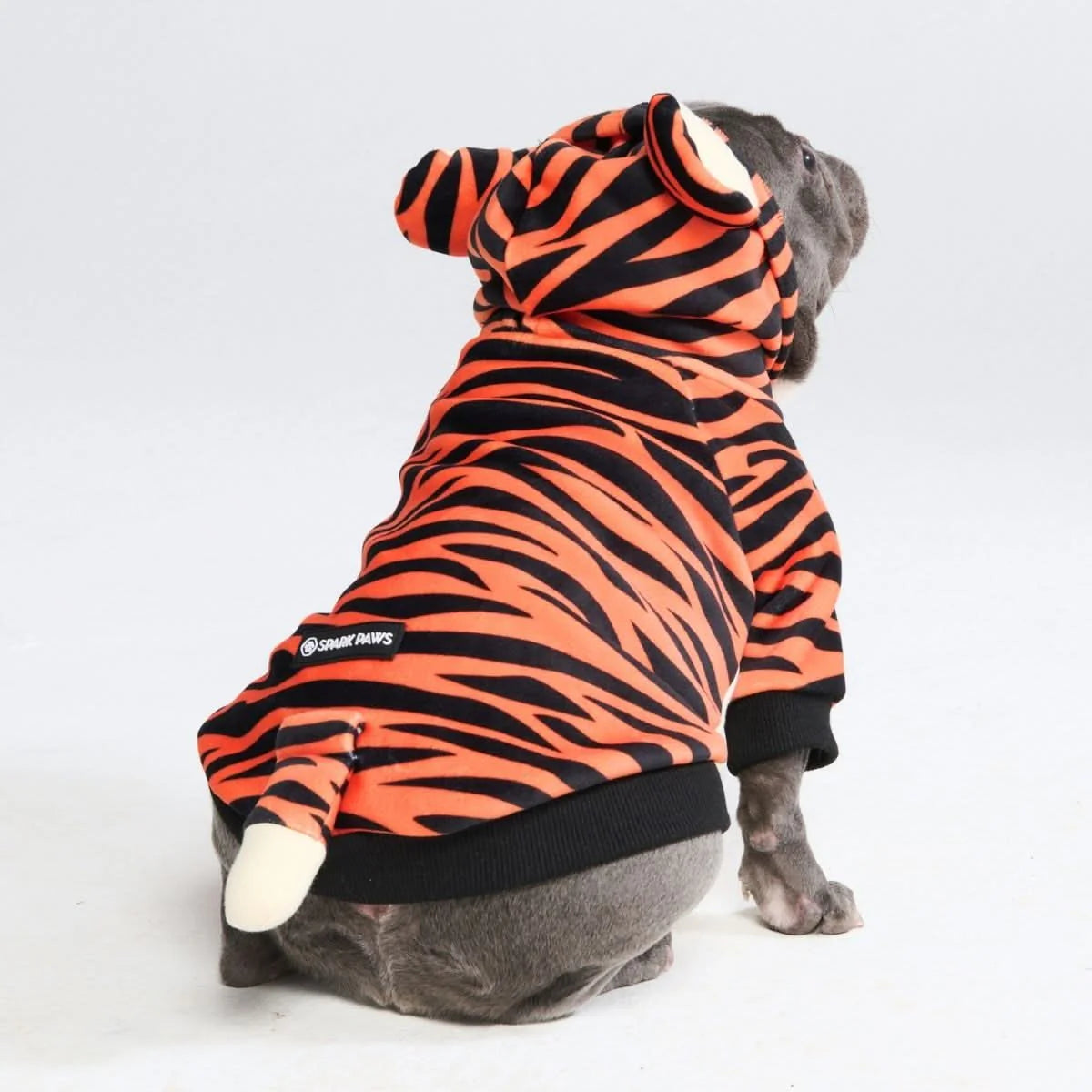 Halloween Dog Hoodies (Limited Edition)