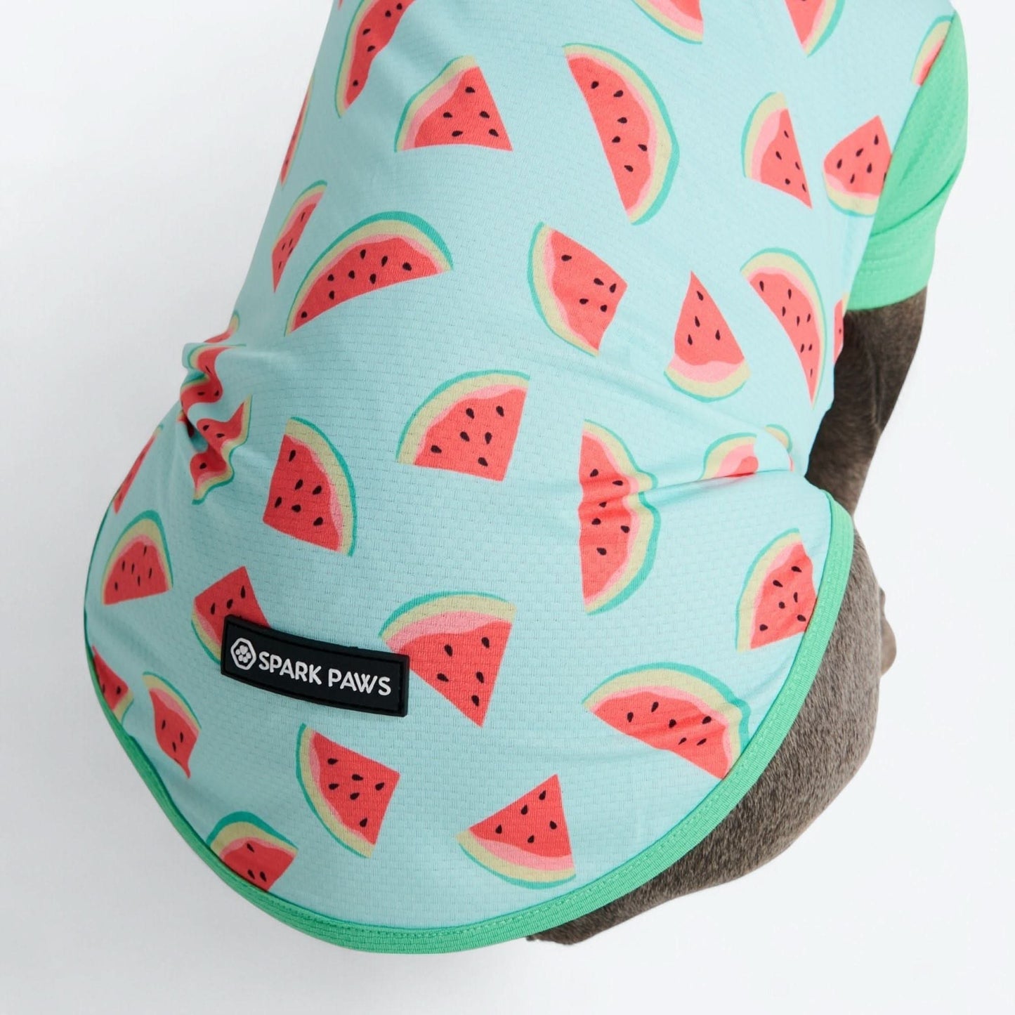 Sunblock Dog T-Shirt - Fruit Print