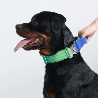 Comfort Control Dog Collars