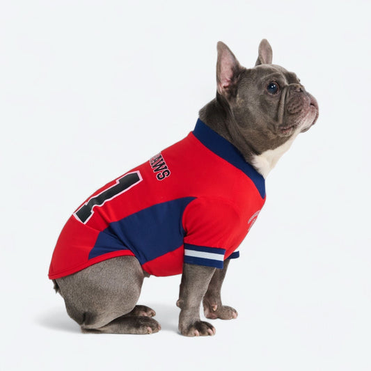 Football Mesh Jersey