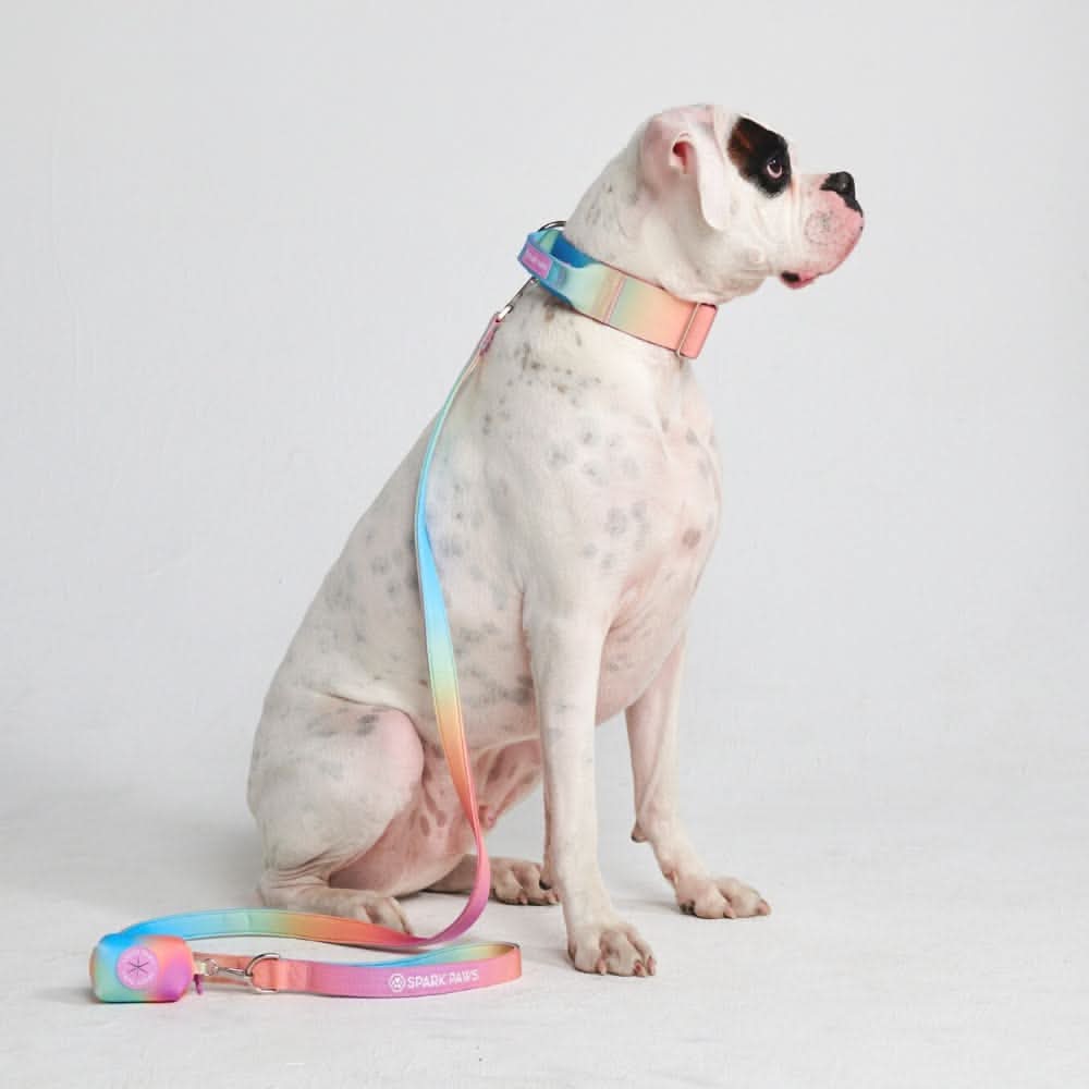 Comfort Control Collar Set - Pastel Icing