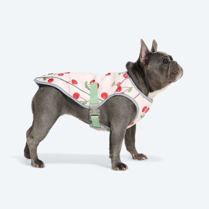Chilltech™ Dog Cooling Vests