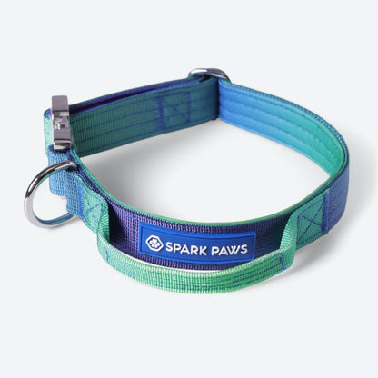 Comfort Control Dog Collars