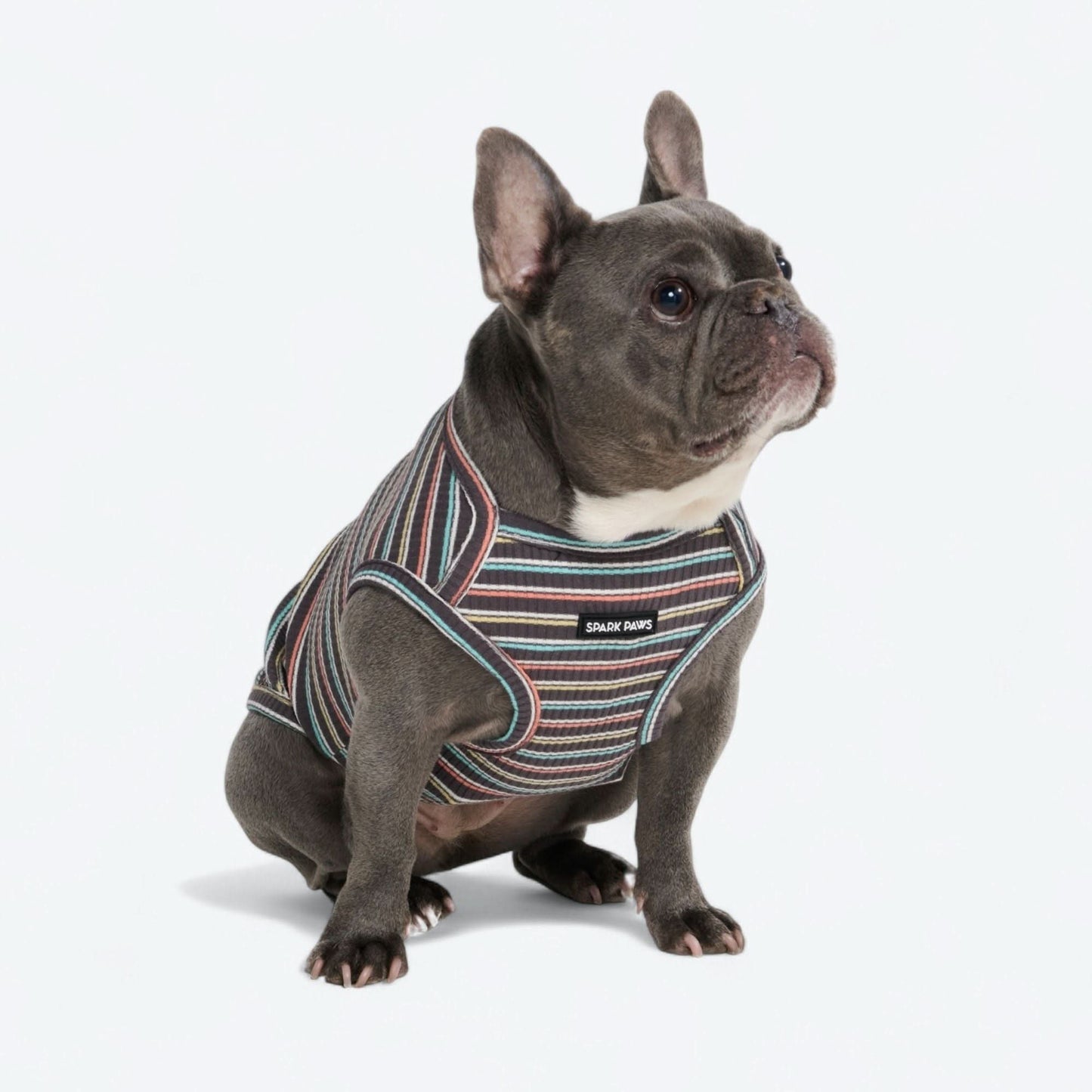 Stripe Shirt