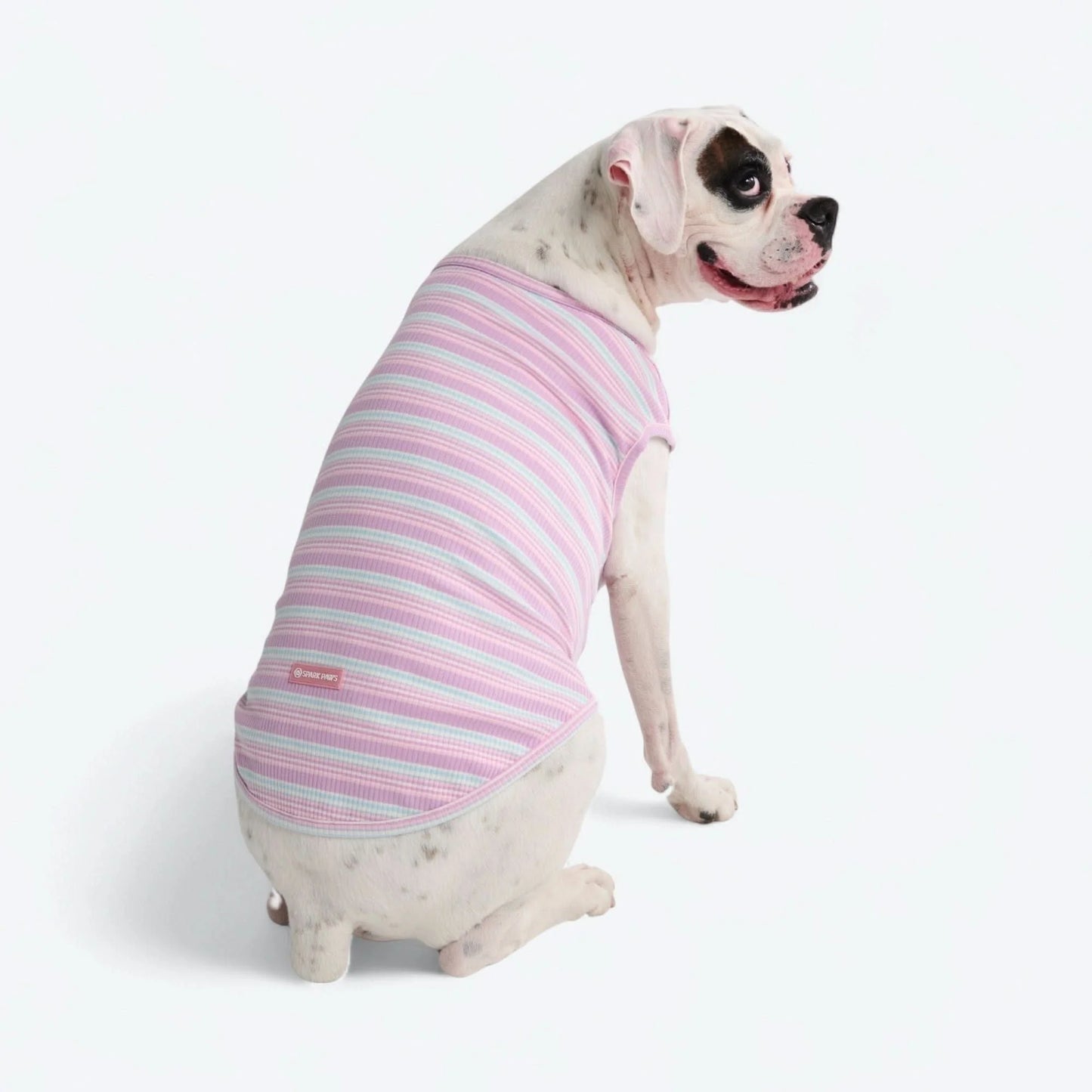 Stripe Shirt