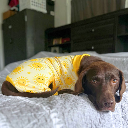 Dog Pajama Prints