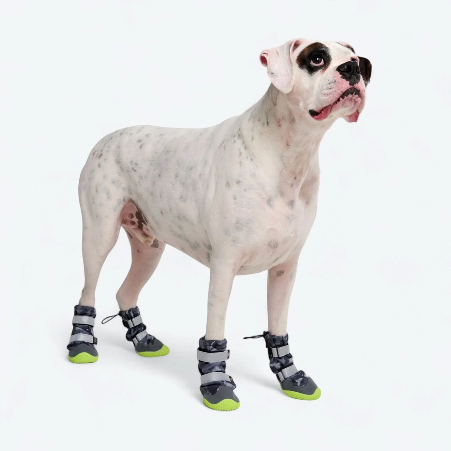 Flex Shell Water-resistant Dog Boots