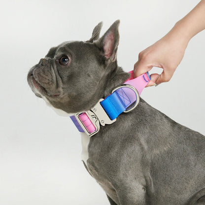 Comfort Control Dog Collars