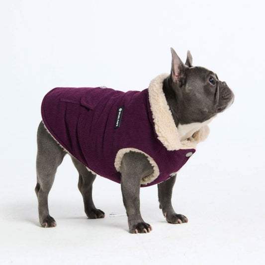 Corduroy Insulated Jacket - Purple