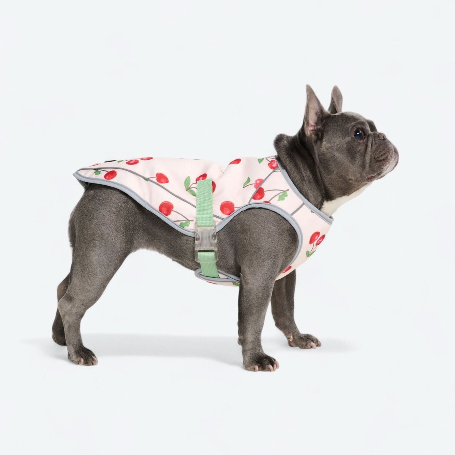 Dog Cooling Vest - Cherries