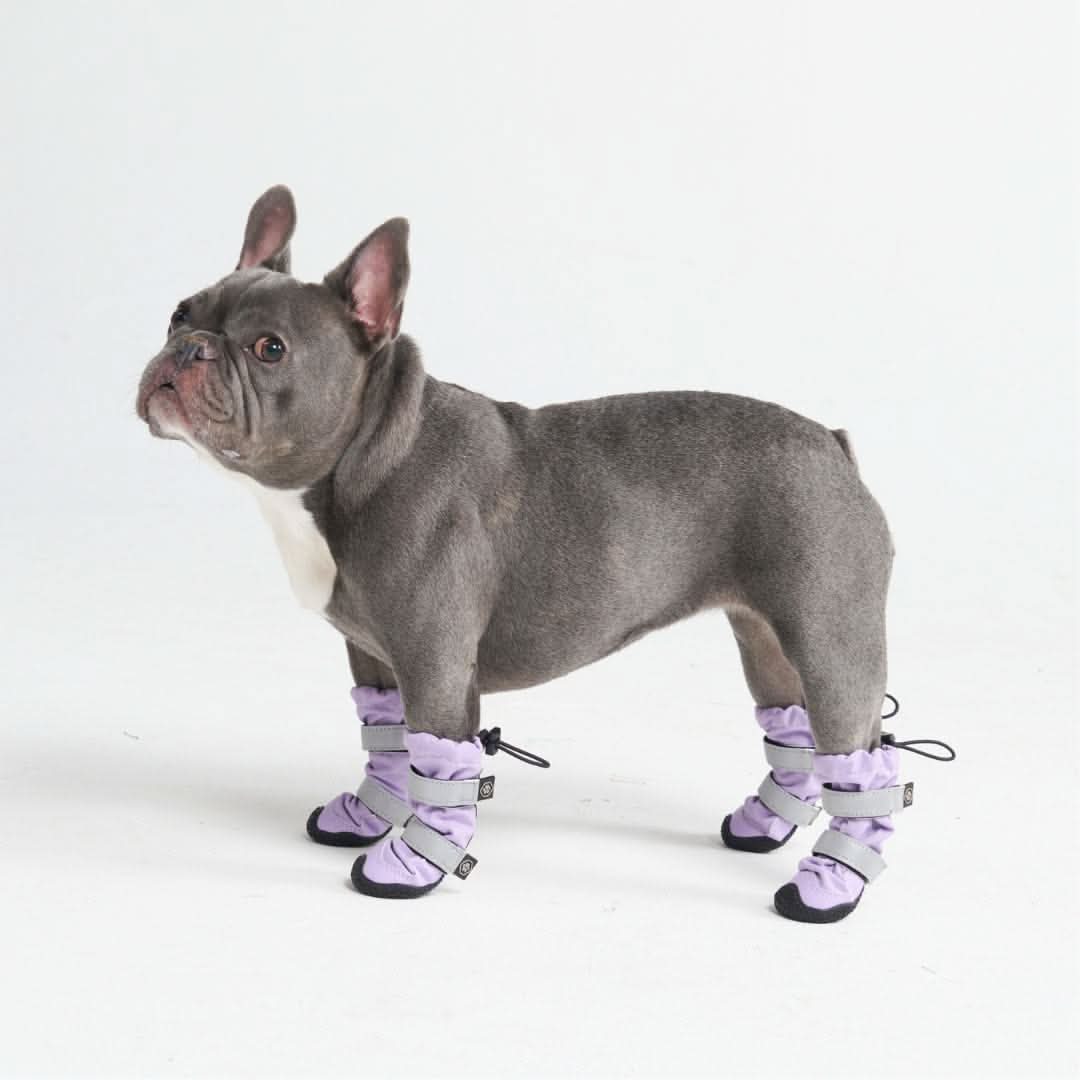Flex Shell Water-resistant Dog Boots