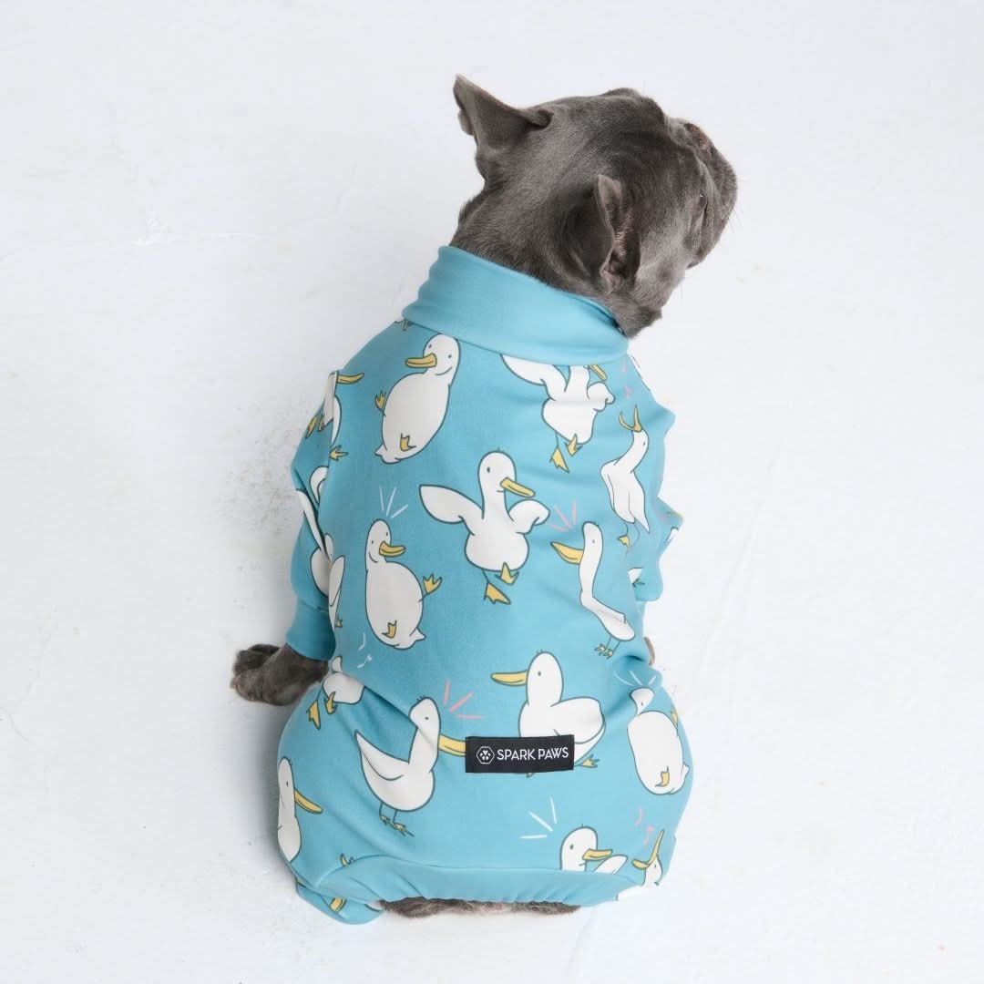 Dog Pajama Prints