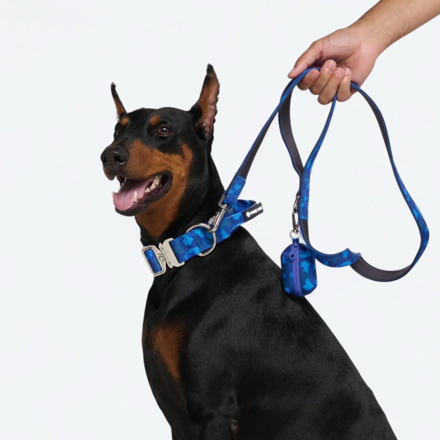 Comfort Control Dog Collars