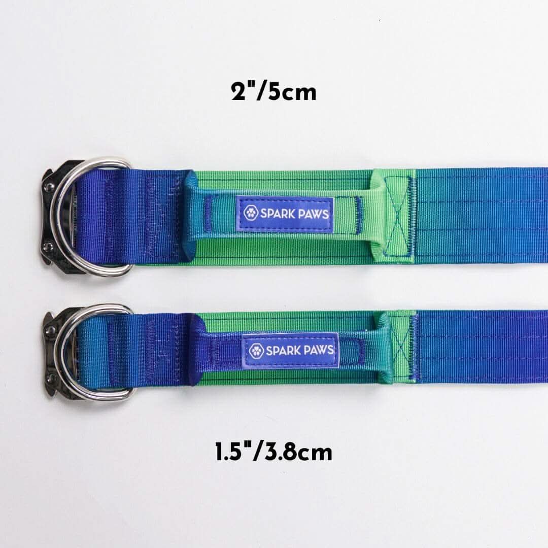 Comfort Control Dog Collars