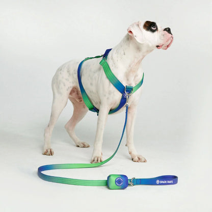 Comfort Control No-Pull Dog Harness - Lime Wave