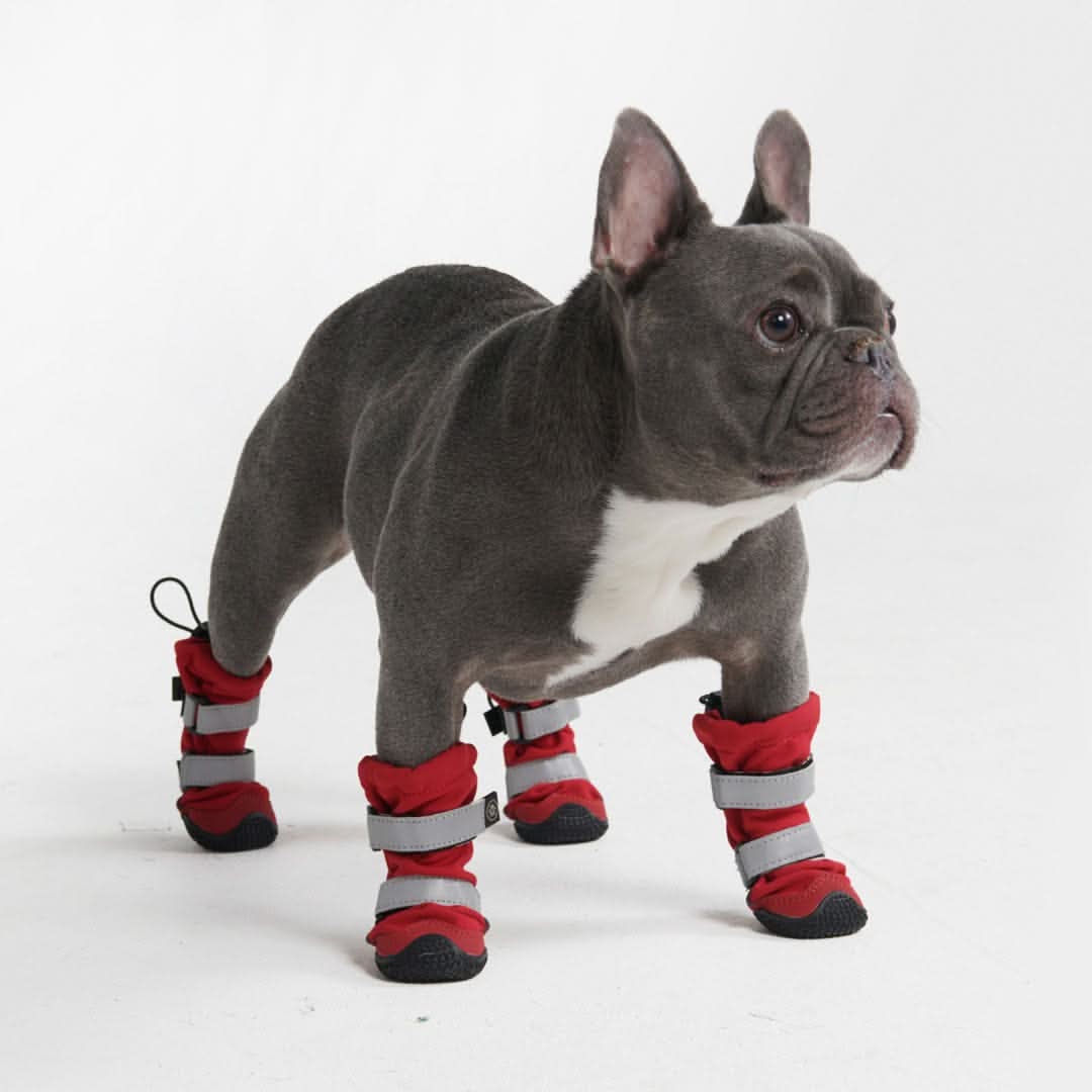 Flex Shell Water-resistant Dog Boots